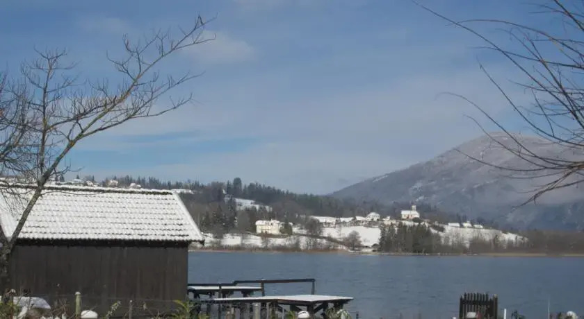 Fleurs du Lac