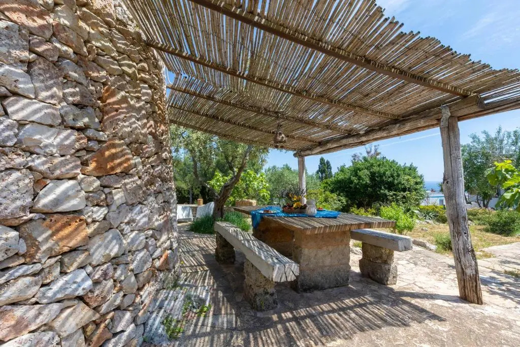 Pajara Rugiada