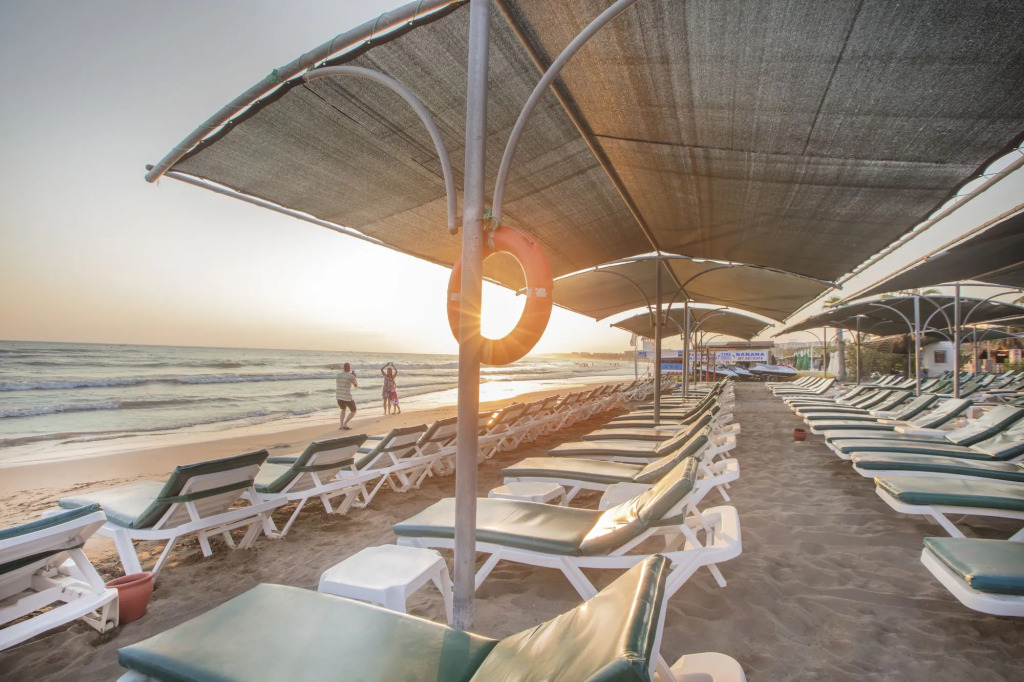 Trendy Palm Beach Adults Only