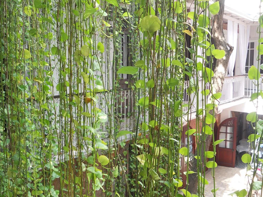 Hotel Saint Nicolas