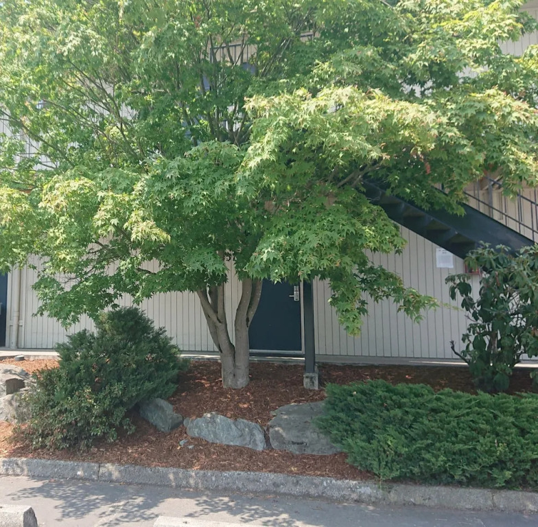 Cocusa Motel