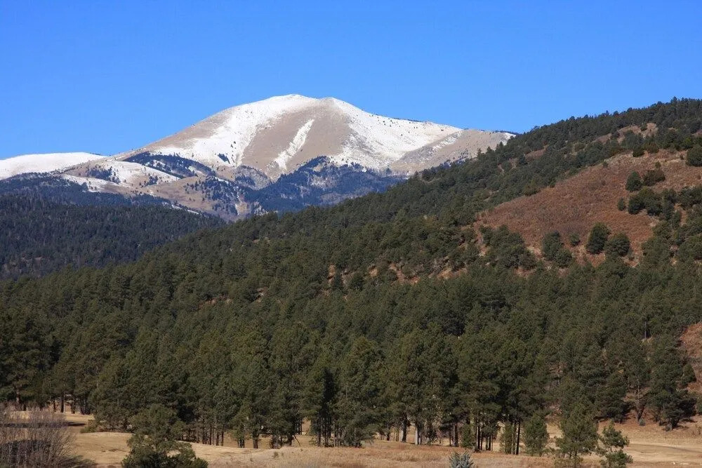 Ruidoso Pines