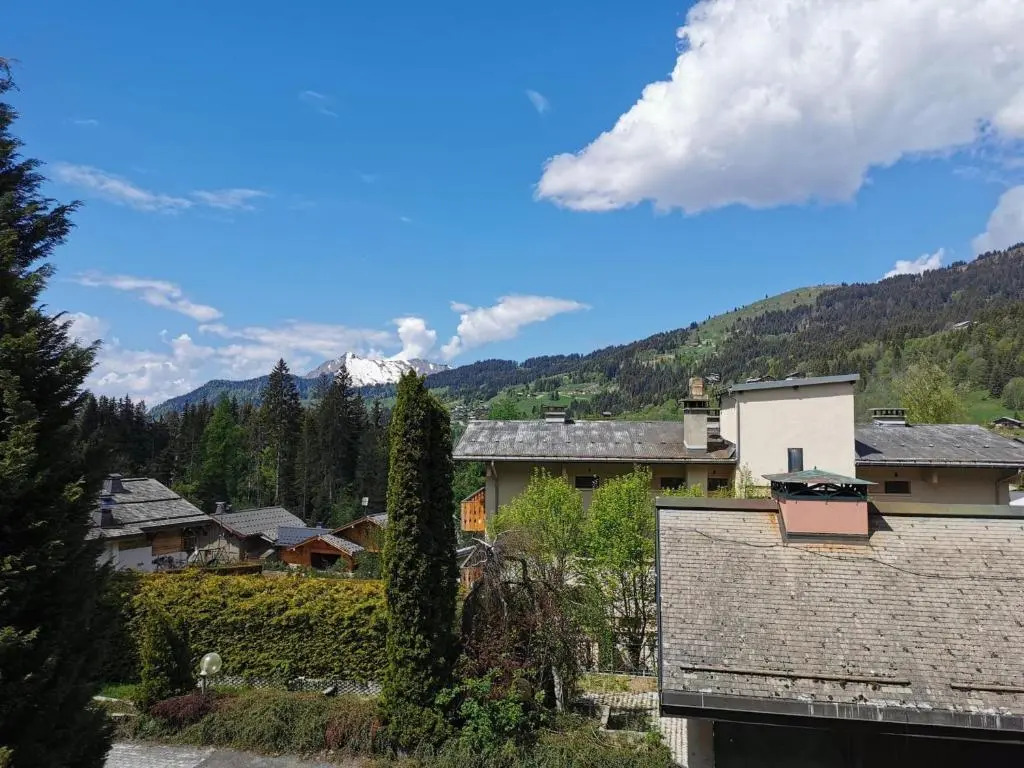 Appartement Les Gets, 1 pièce, 4 personnes - FR-1-598-34