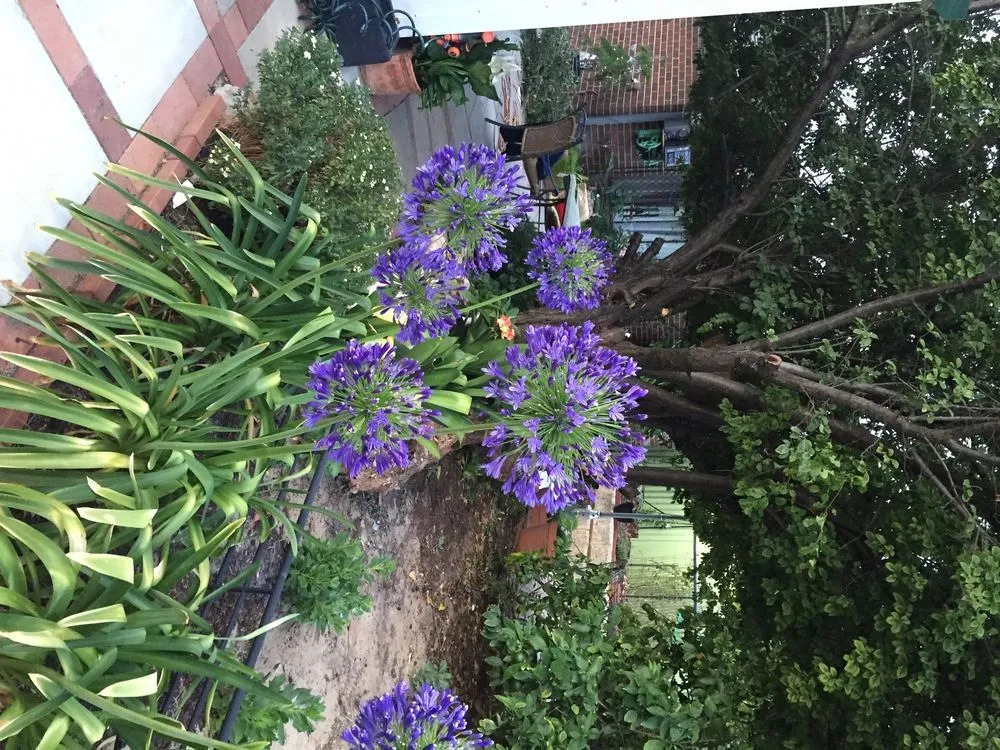 Bed and Breakfast in Perth