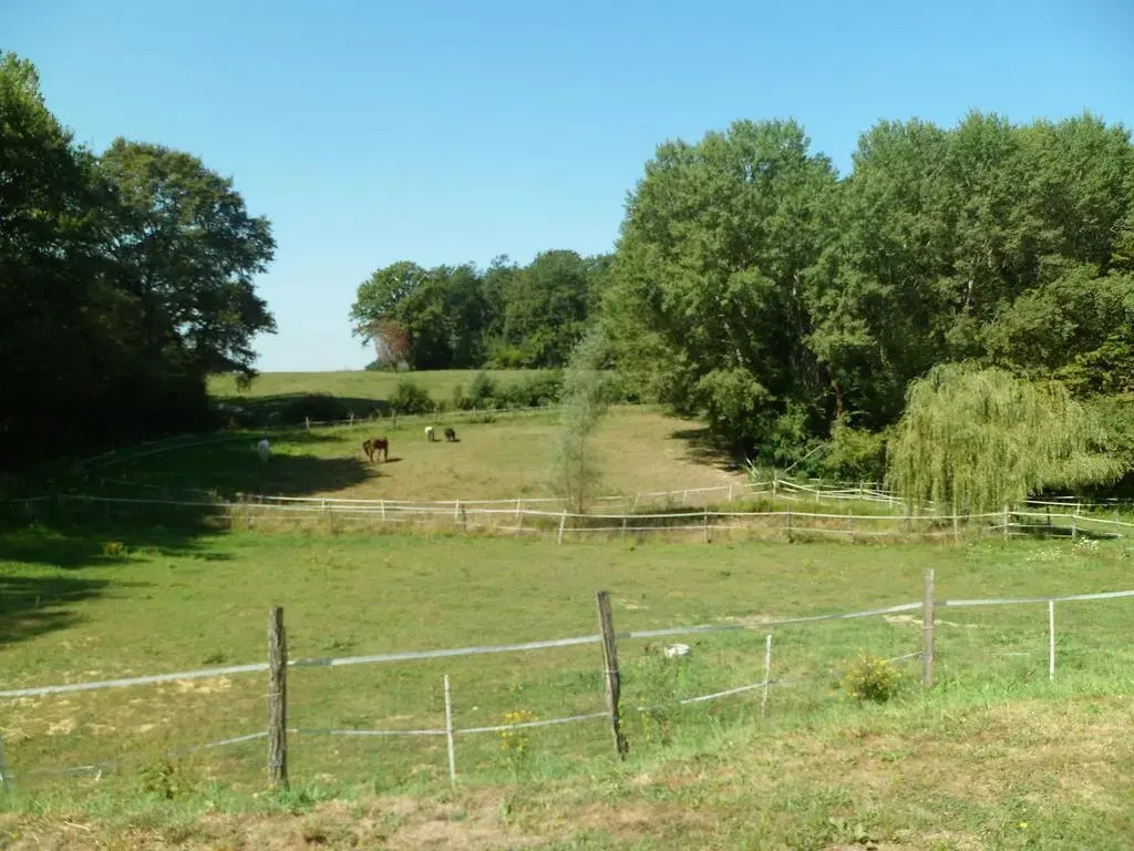 le paradis vert