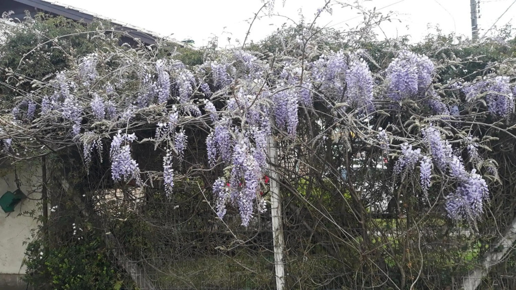 Recanto Rorato