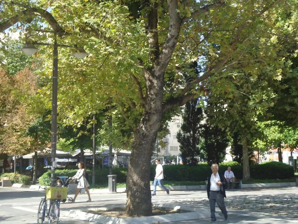 Original house