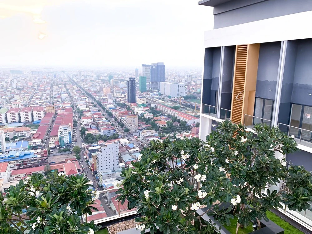D Suites
