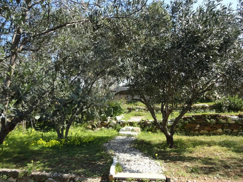 Meltemi Studios and Apartments