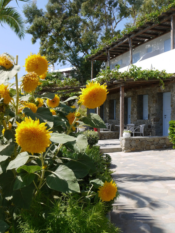Panormos Village Seaside Resort