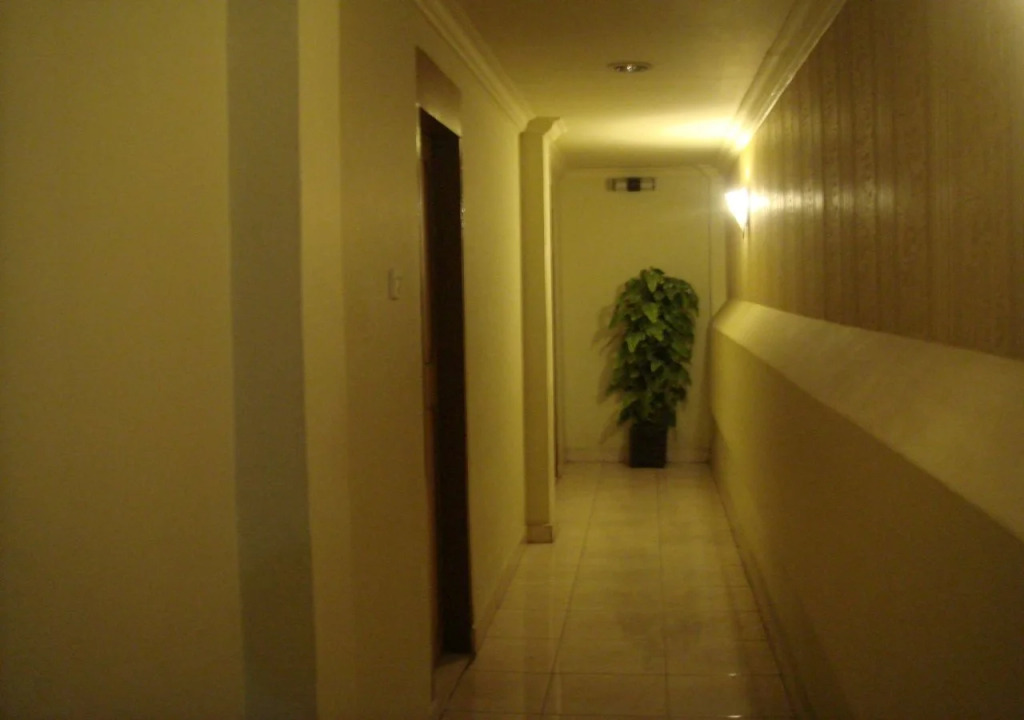 Hotel Istana