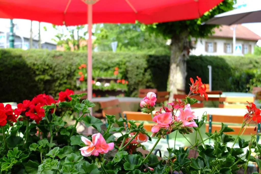 Hotel Löwen
