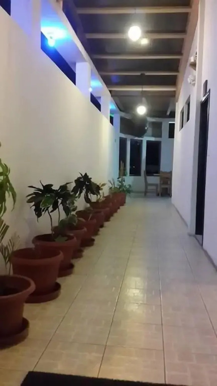 La Mirada De Solitario George