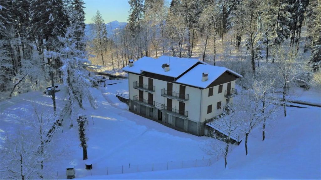 Green House nel bosco