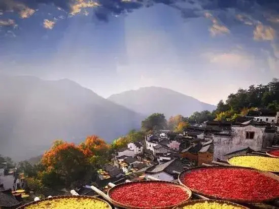 Qingyuanresident