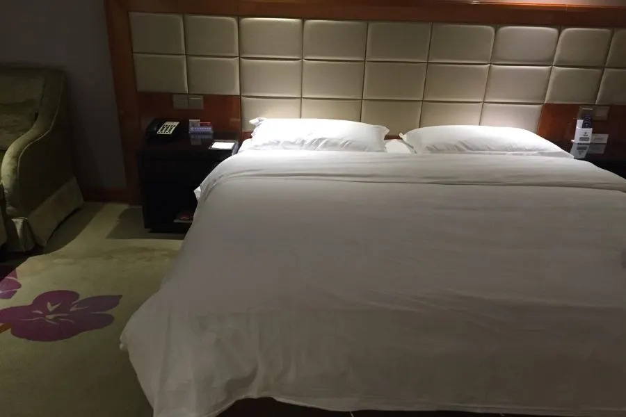Vienna Hotel (Shenzhen Kejia Town)