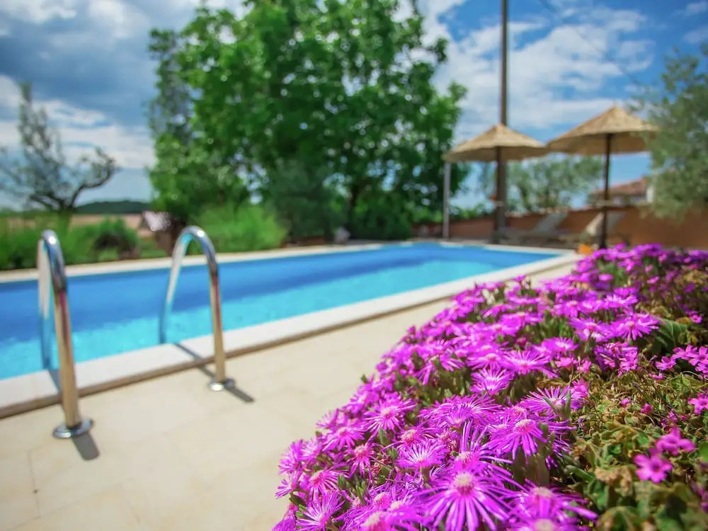 Rustic Villa in Dracevac With Outdoor Pool