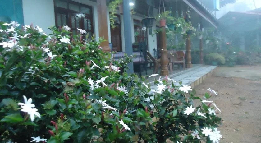 Cinnamon Homestay ella