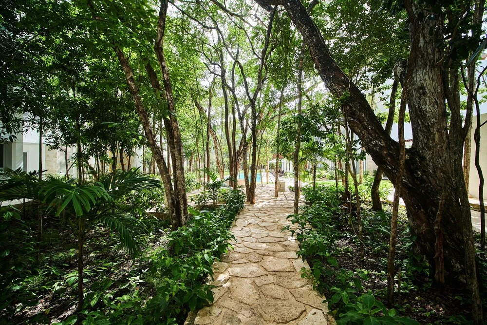 Tao Tulum M202 By Lockey