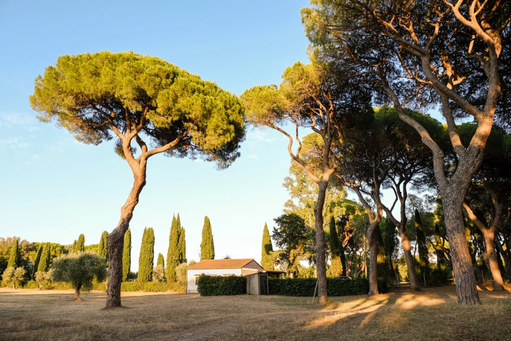 Residence La Canova II