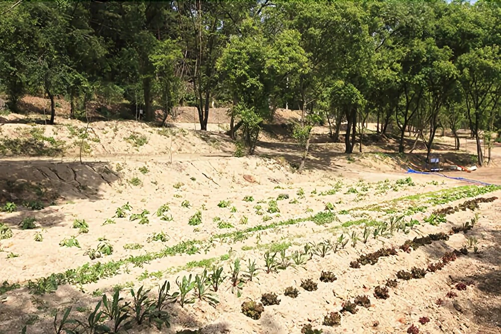 Yangpyeong Saen Farm Pension