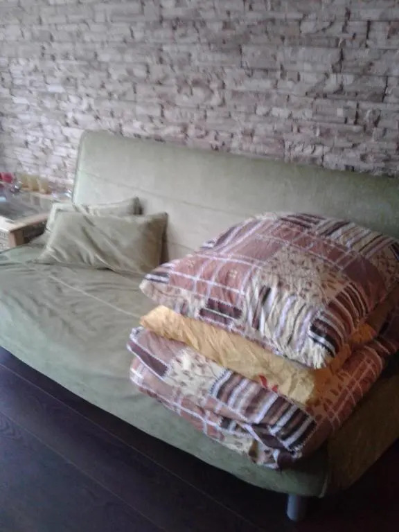 Apartament rodzinny 2 pokojowy. Widok na Snieżke.