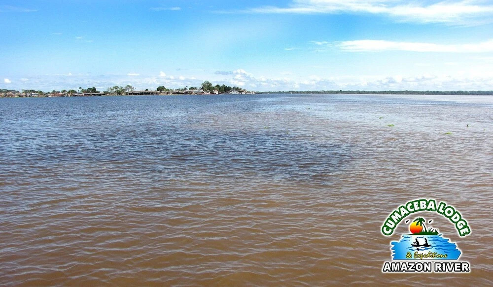 Cumaceba Amazon Lodge