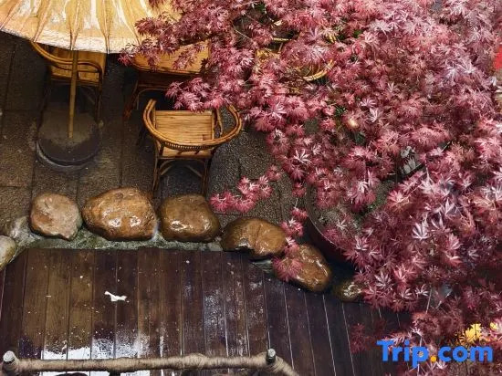 Floral · Jiangnan Xianyu · Tangying Courtyard (Nanxun Ancient Town Baijianlou)