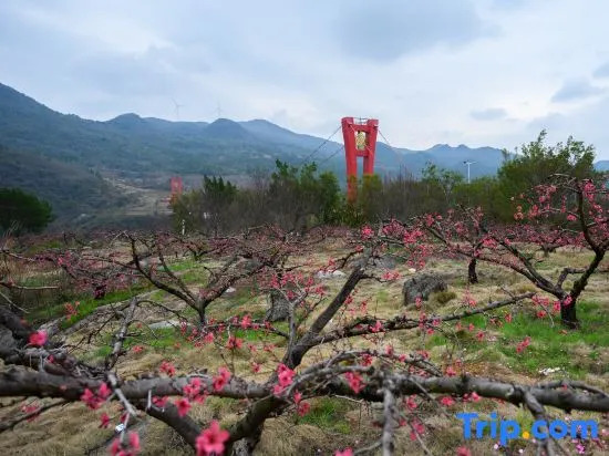 Qingyuan Lianzhou Longtan Ecological Resort Area