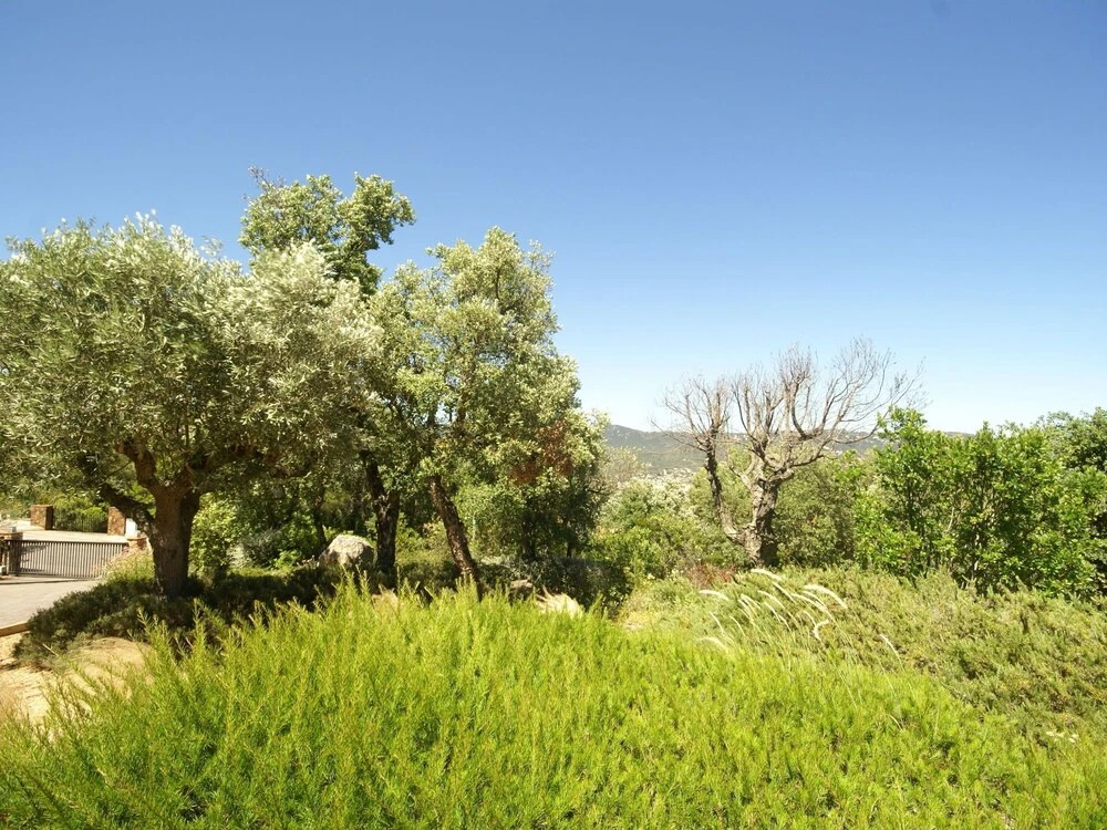 Gorgeous Villa in Santa Cristina D'aro With Pool