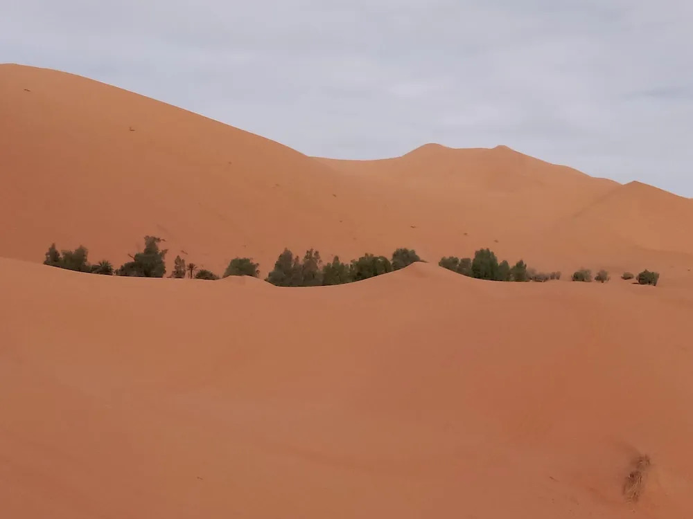 Bivouac Erg Merzouga - Campsite