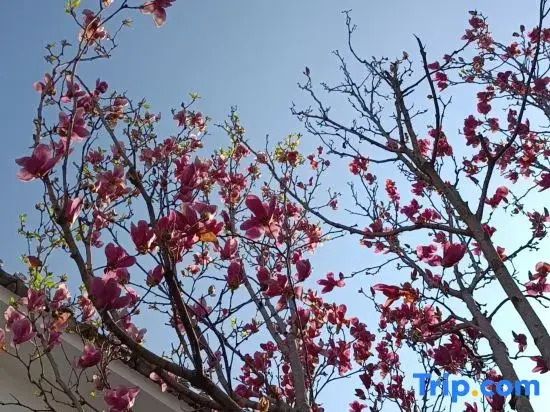 Minyue Xiaozhu Designer Garden B&B (Gongchen Tower Branch) in Weishan Ancient City