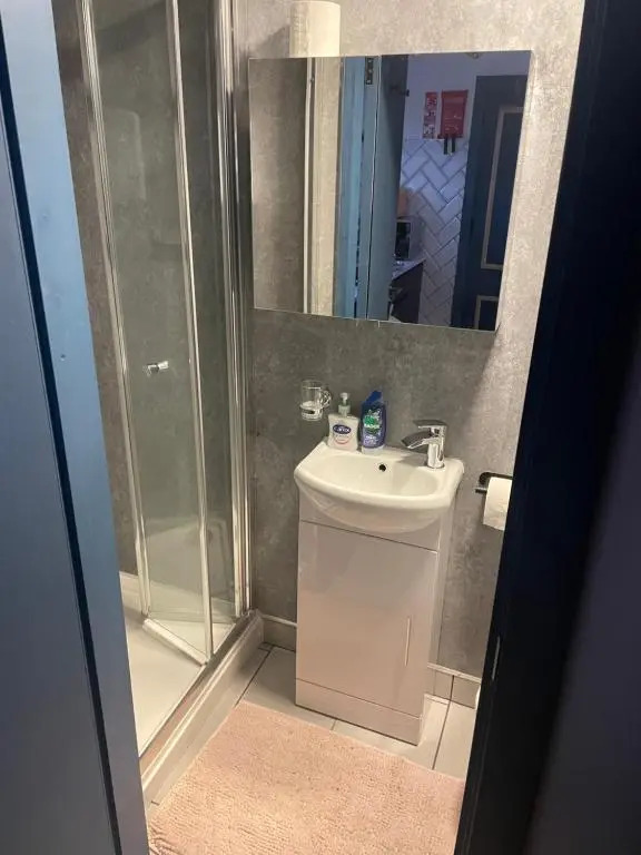 Entire Brand New Serviced Apartment in Moseley
