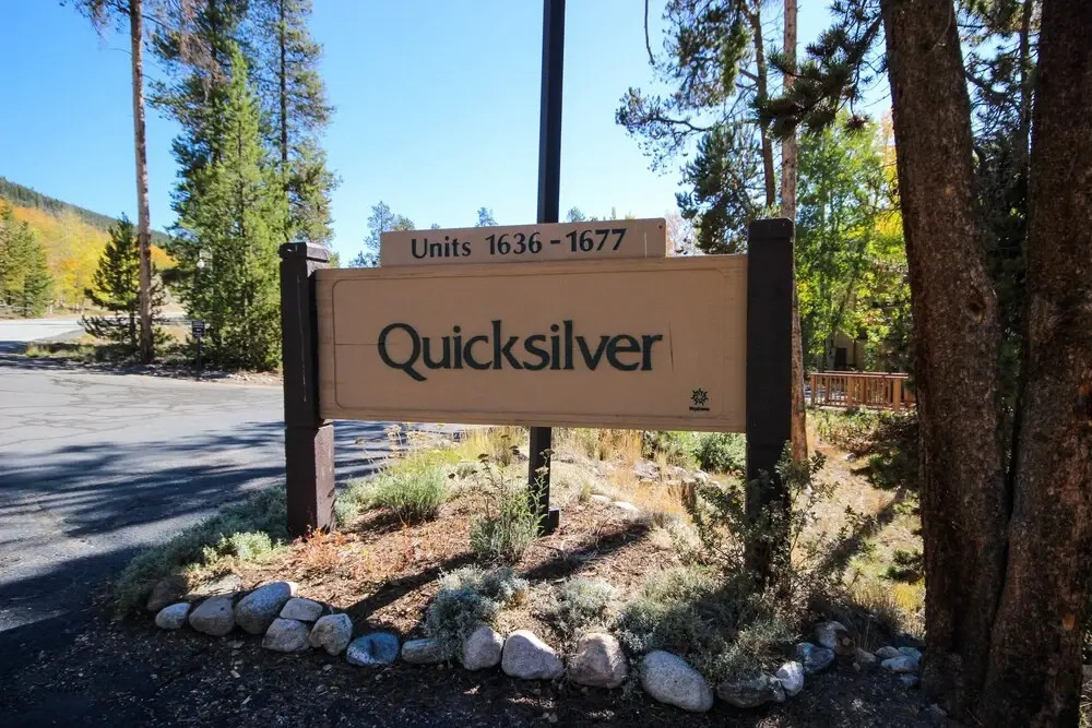 Quicksilver #1606
