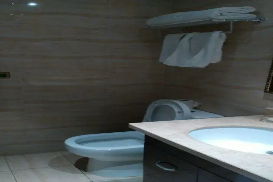 Vienna Hotel Hangzhou Banshan Shiqiao Road