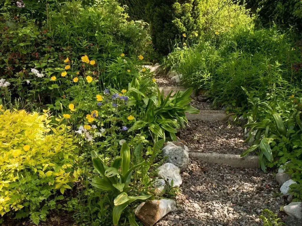Ellangowan House B&B