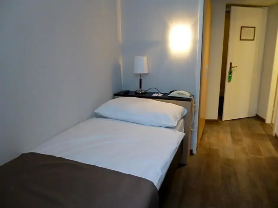 Hôtel des Alpes
