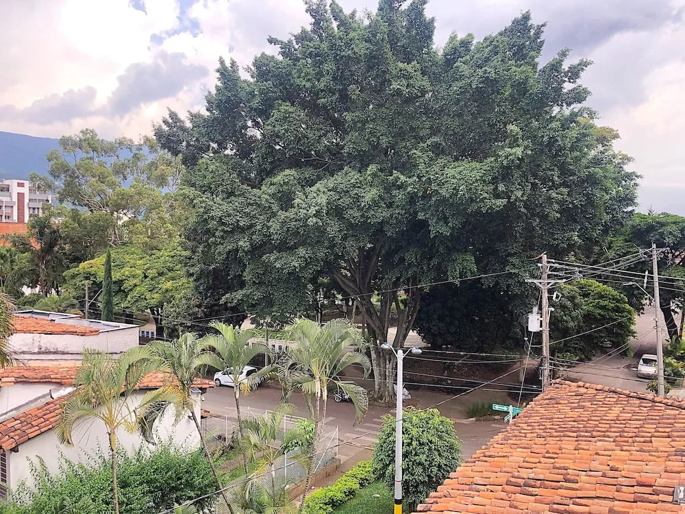 Casa Rosales