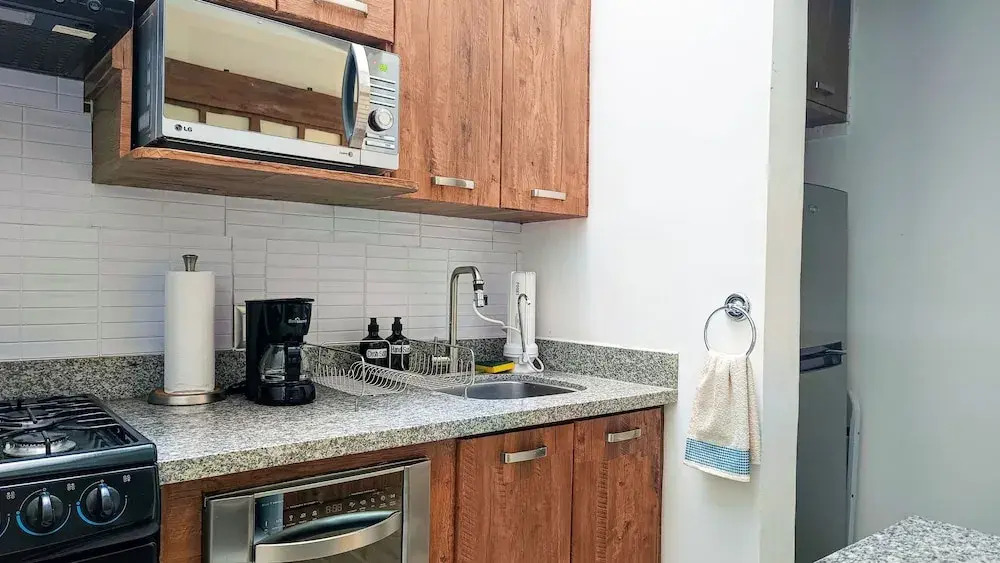 Renovated Aparment Avenida Amsterdam