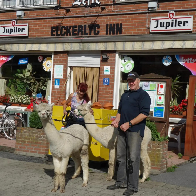 Elckerlyck Inn Hotel