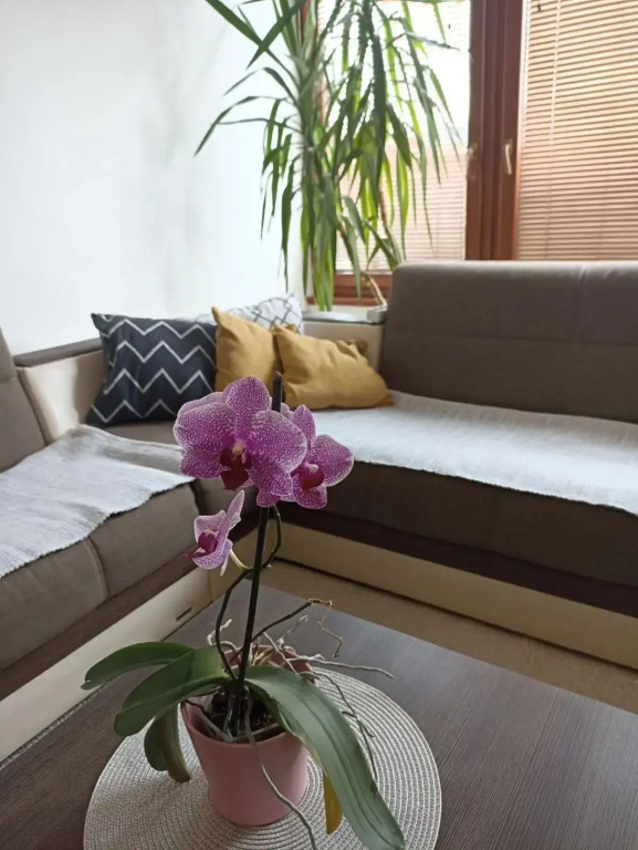 Apartman Bella Casa free parking