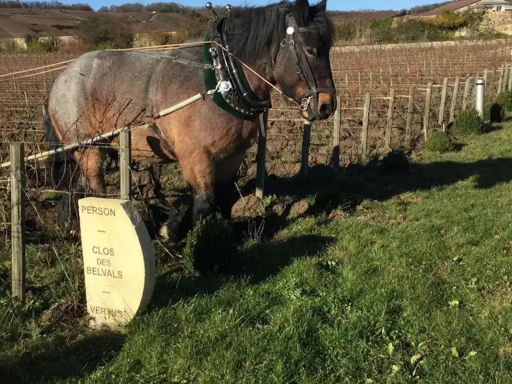 le clos des belvals