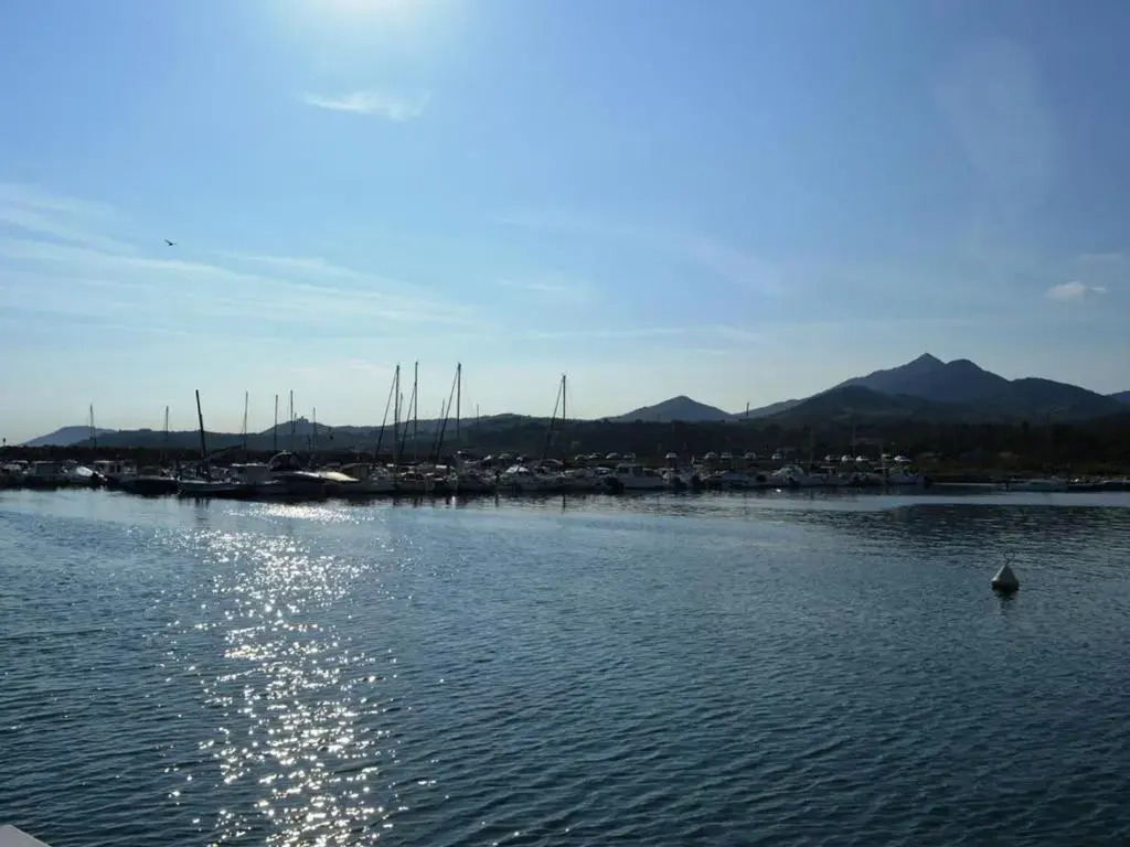 Appartement Argelès-sur-Mer, 1 pièce, 2 personnes - FR-1-225-422