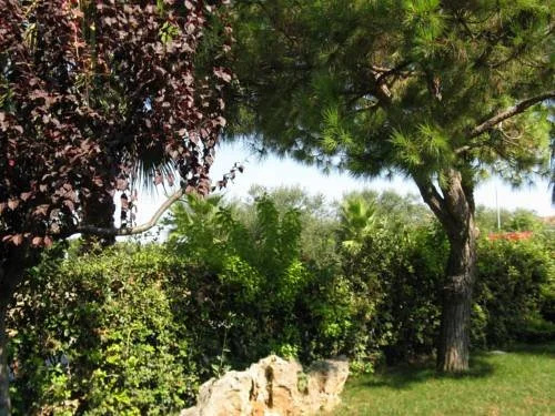 Residence Criro