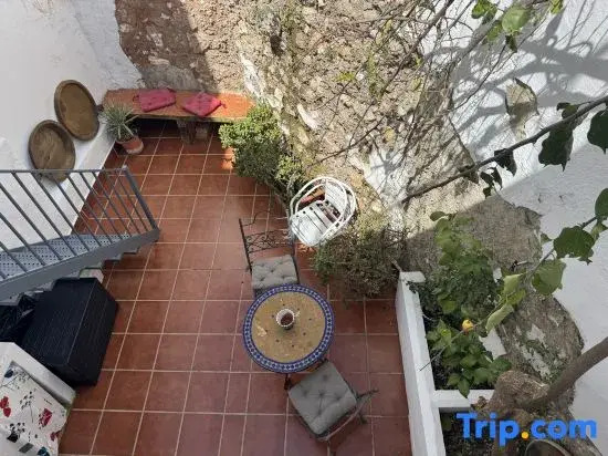Lemon Tree Patio
