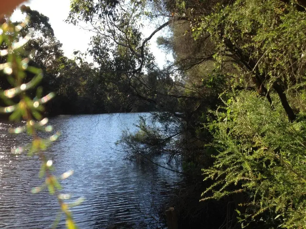 Whispering Pines Bed and Breakfast
