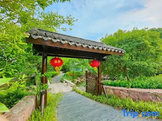 Xiangu Shibafang · Daomeng Starry Sky Homestay (Maoshan Forest World Official Store)