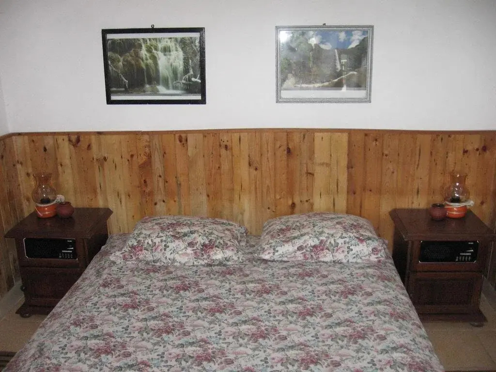 Vila Tsonevi