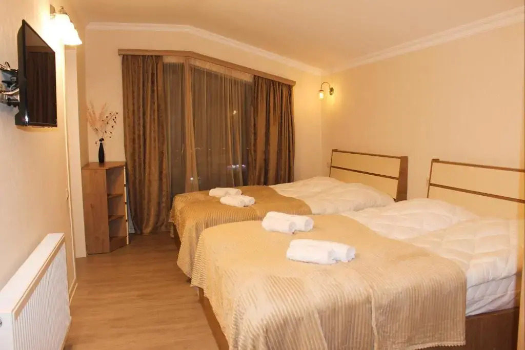 Mountain Villa Didveli