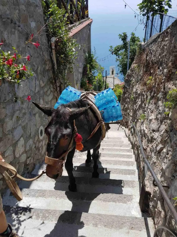 Estate4home - Goat Path